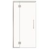 Stein 1200 x 2000mm Chrome Project Shower - Door Only