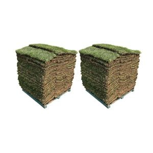 Sir Walter DNA Certified Buffalo 100m² Soft Leaf Buffalo Turf - Pallet