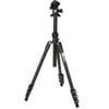 3 Legged Thing - Punks Patti 2.0 Flip Lock Tripod Kit with AirHed Mini - Darkness
