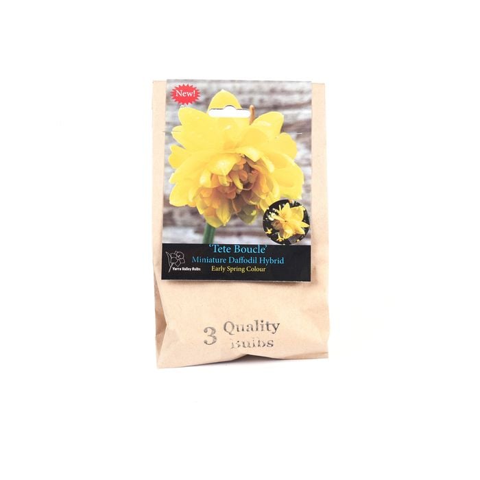 Yarra Valley Bulbs Daffodil Tete Boucle - 3 Pack