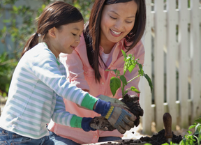 Woman and child planting a seedling in a garden bed