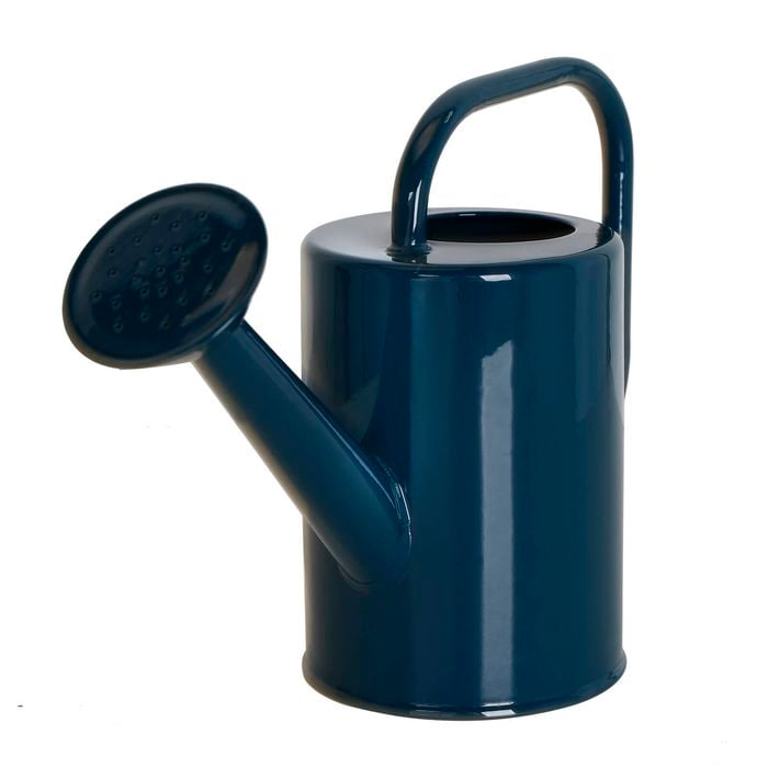 Rapid 260 x 185 x 100mm 1L Ocean Blue Harper Steel Watering Can