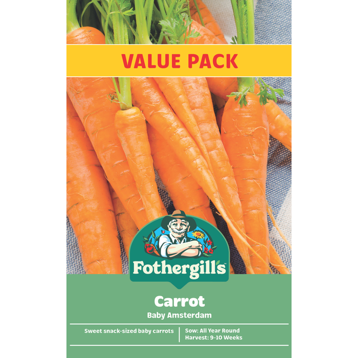 Fothergill's Carrot Baby Amsterdam Seeds - Value Pack