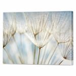 Make A Wish | 100 x 80cm Stretched Canvas Print