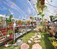 Greenhouse containing various plants