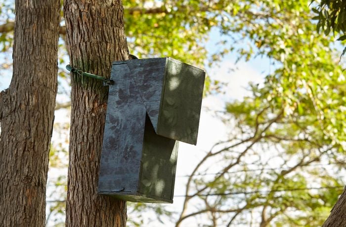 A completed bird nesting box mounted onto a tree