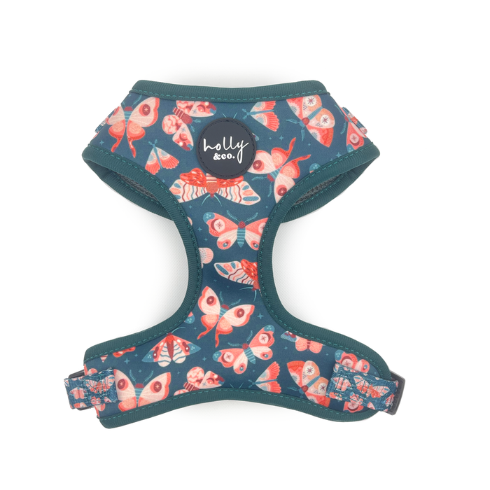 Holly & Co  Wings Extra Extra Small Green Stylish Dog Harness