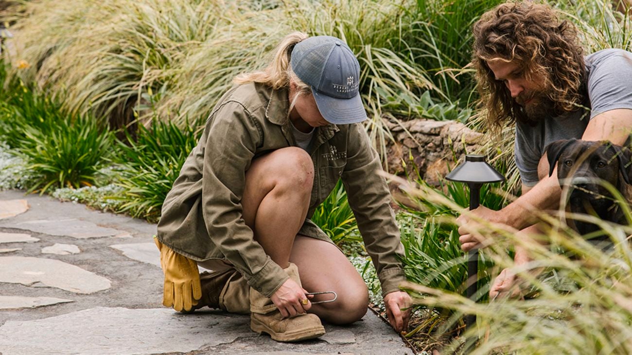 : A female and male landscaper kneeling in amongst green shrubs install a garden light