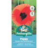 Fothergill's Poppy Flanders Red Flower Seeds