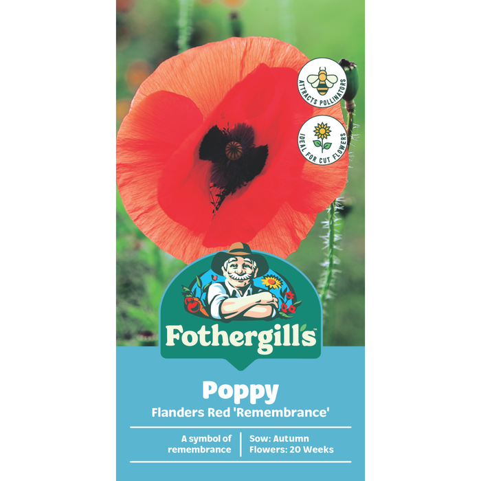 Fothergill's Poppy Flanders Red Flower Seeds
