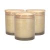 Scented Candles - 130g - Green Pomelo & Passion Fruit - Pack of 3 Fruity Fresh Scent Jarred Long Burn Fragrance Set