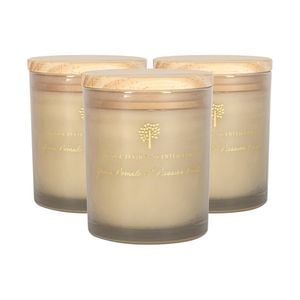 Scented Candles - 130g - Green Pomelo & Passion Fruit - Pack of 3 Fruity Fresh Scent Jarred Long Burn Fragrance Set