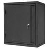 Pinnacle 600 x 600 x 250mm Matte Black Wall Mounted Cabinet