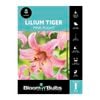 Bloomin' Bulbs Lilium Tiger Pink Flight - Lilium Hybrida - 1 Pack