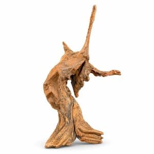 Red Driftwood Reptile Decor Natural Enclosure Wood 25-35cm