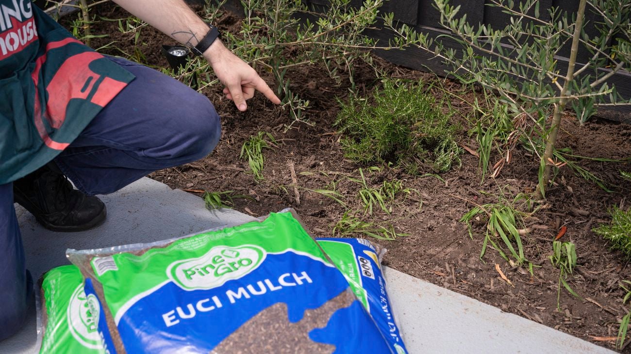 A Bunnings Team Member pointing to a garden bed with a bag of mulch next to them