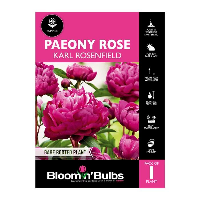 Bloomin' Bulbs Paeony Rose Karl Rosenfield 1 Pack
