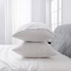 LINENOVA 2PCS Bamboo Blend Cooling Pillowcases Pillow Case - White,European