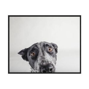 Artey | Blue Zuck - Framed Canvas - Black Frame - 80 x 100cm