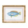 Lvd Coastal Ratten Framed Fish Species Print Wall Hanging Decor 45x60cm Assorted