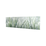 Bellessi 445mm x 1200mm x 4mm Motiv Polymer Bathroom Panel - Morning Dew