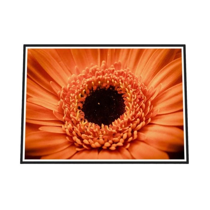 Galrie Stunning Close-Up of a Red Flower - Fine Art Photography, Black Frame, A1 60 x 84cm (23 x 33inch)