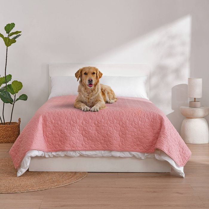 Charlie's Sofur Waterproof Dog Bed Cover Protector Double/Queen 208x208cm Pink