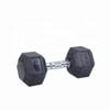Premium Rubber Hex Dumbbell-12.5KG Pair