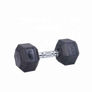 Premium Rubber Hex Dumbbell-12.5KG Pair