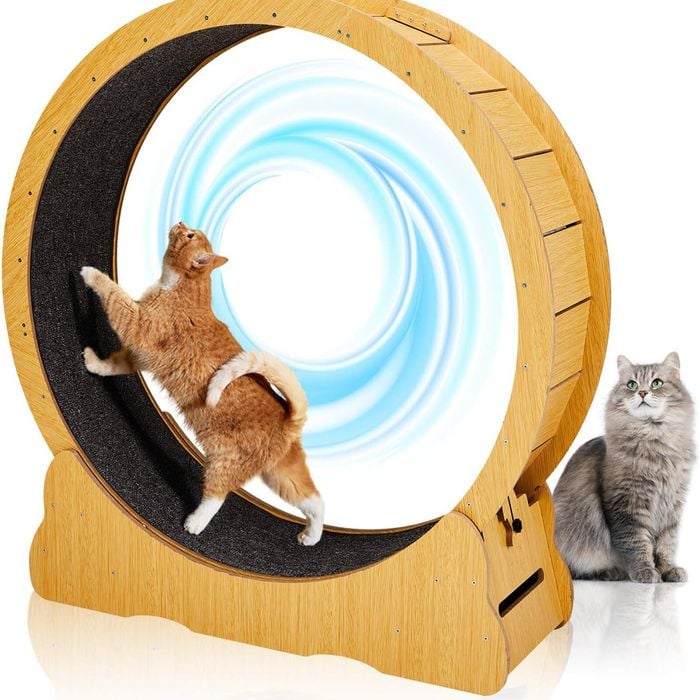 Advwin Cat Exercise Wheel Toy Running Exerciser Treadmill Scratcher Board 90cm