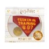 Harry Potter Seeker in Training Pet Dog/Cat Bandana/Snitch Ball Accessory Set