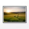 Field with a Sun, Sky & Plants  Print 100% Australian Made 120x90cm  (Poster)