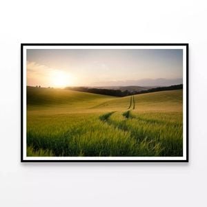 Field with a Sun, Sky & Plants  Print 100% Australian Made 120x90cm  (Poster)