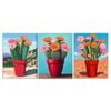 3pcs Cactus Plant Art Print 100% Australian Made 3 x 40x60cm (Metal Print)