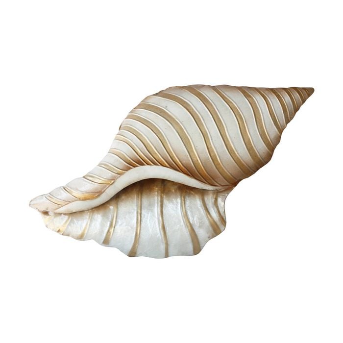 Darlin Capiz/Metal 34x19cm Conch Shell Wall Art V1 Decor Beige
