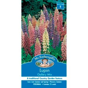 Mr Fothergill's Lupin Gallery Mix Seeds