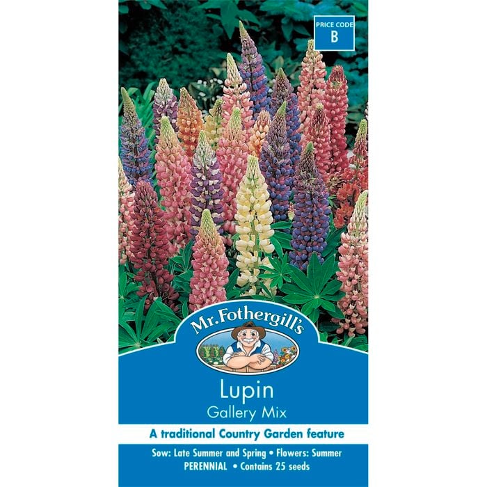 Mr Fothergill's Lupin Gallery Mix Seeds