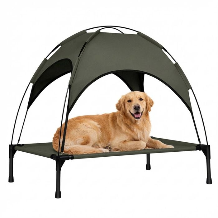 Advwin Large Pet Dog Bed Cat Trampoline Elevated Hammock