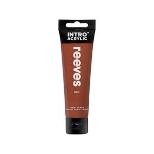 Reeves100ml Burnt Sienna Intro Paint 