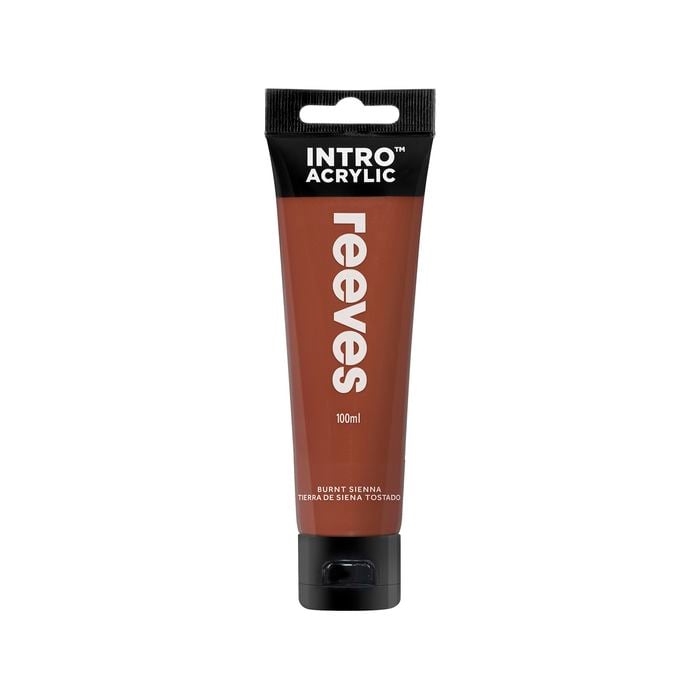 Reeves100ml Burnt Sienna Intro Paint 