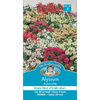 Mr Fothergill's Alyssum Aphrodite Mixed Seeds