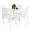 FRANKIE 5PC ARMCHAIR SETTING - WHITE