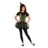 Wizard Of Oz Wicked Witch Of The West Womens Fancy Dress Up Costume Size M