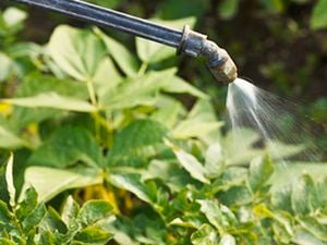 Product CLP - Garden - Pest Control
