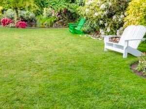 A green lawn with wooden garden seats