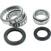 Rear Wheel Bearing Kit For Mazda Bravo B2500 B2600 B25 B26 Ford Courier Pg