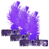 3x 1920s FLAPPER HEADBAND Headpiece Feather Sequin Charleston Costume Gatsby Purple