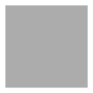 Stein 600 x 750mm Silver Vision Splashback