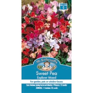 Mr Fothergill's Sweet Pea Explorer Seeds