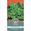 Mr Fothergill's Rocket Seeds